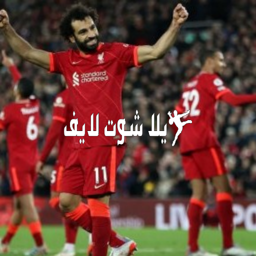 موعد وتفاصيل مباراة ليفربول أمام برينتفورد 2/1/2023